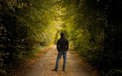 junge Person auf einem Weg im Wald auf das Licht zugehend