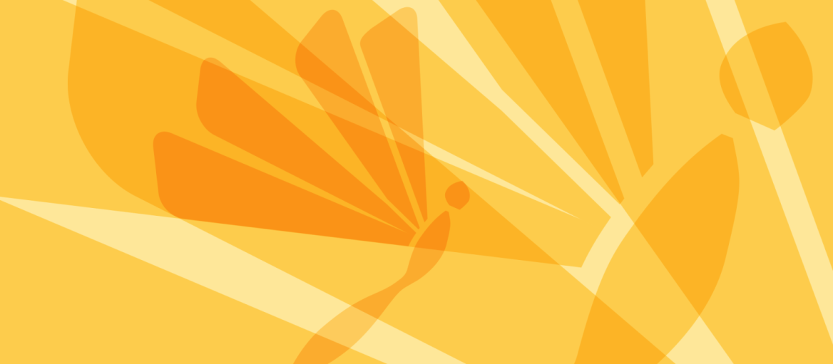 gelbe und orangfarbene Schmetterlinge