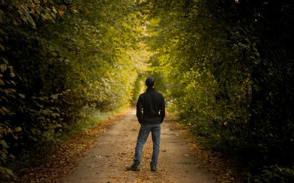 junger Mensch steht auf einem Waldweg der in der Ferne von Licht angestrahlt wird