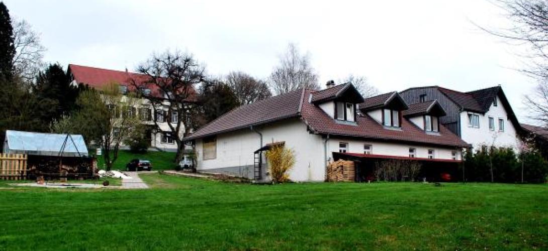 Häuser auf einer Wiese