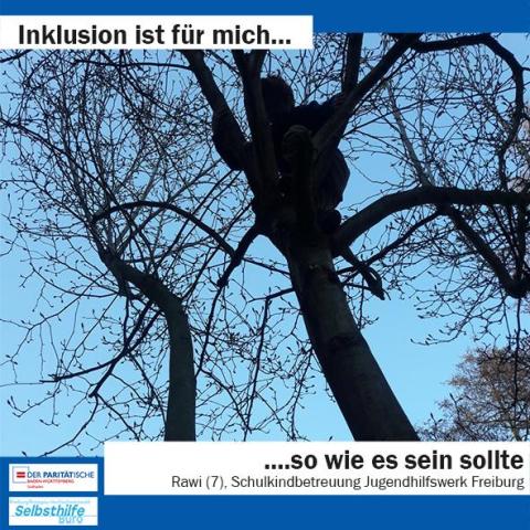 Ein Junge sitzt oben im Baum. Darunter steht: "Inklusion ist für mich so wie es sein sollte. Rawi (7), Schulkindbetreuung Jugendhilfswerk"