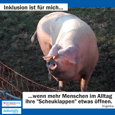 Ein Schwein, das seine Ohren vor die Augen zieht. Darunter steht: "Inklusion ist für mich wenn mehr Menschen im Alltag ihre "Scheuklappen etwas öffnen würden. Angelika"