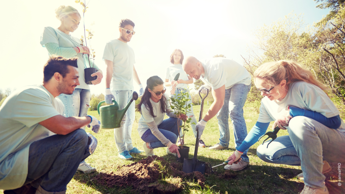 eine Gruppe junger Menschen pflanzt einen Baum